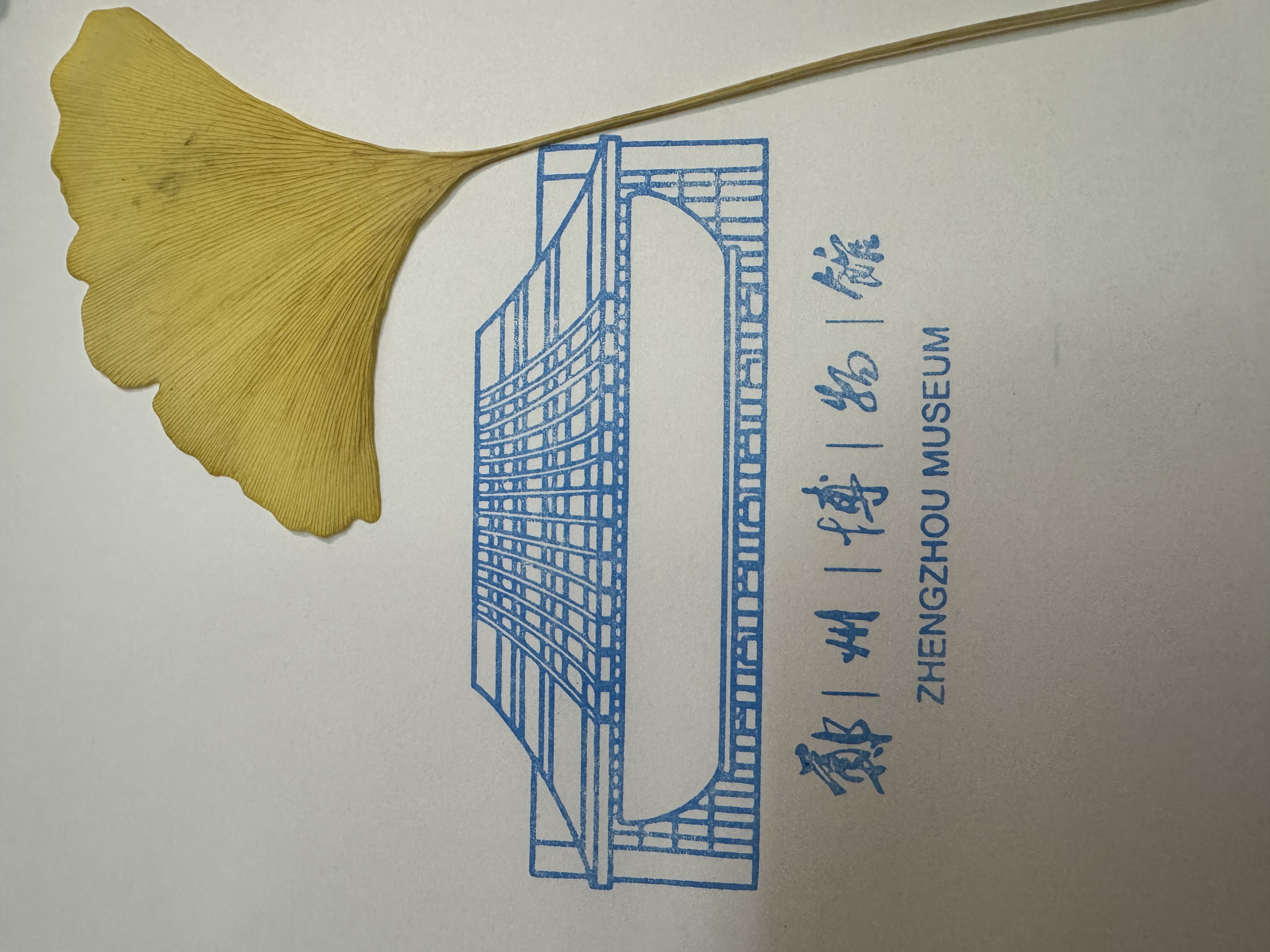 博物馆打卡