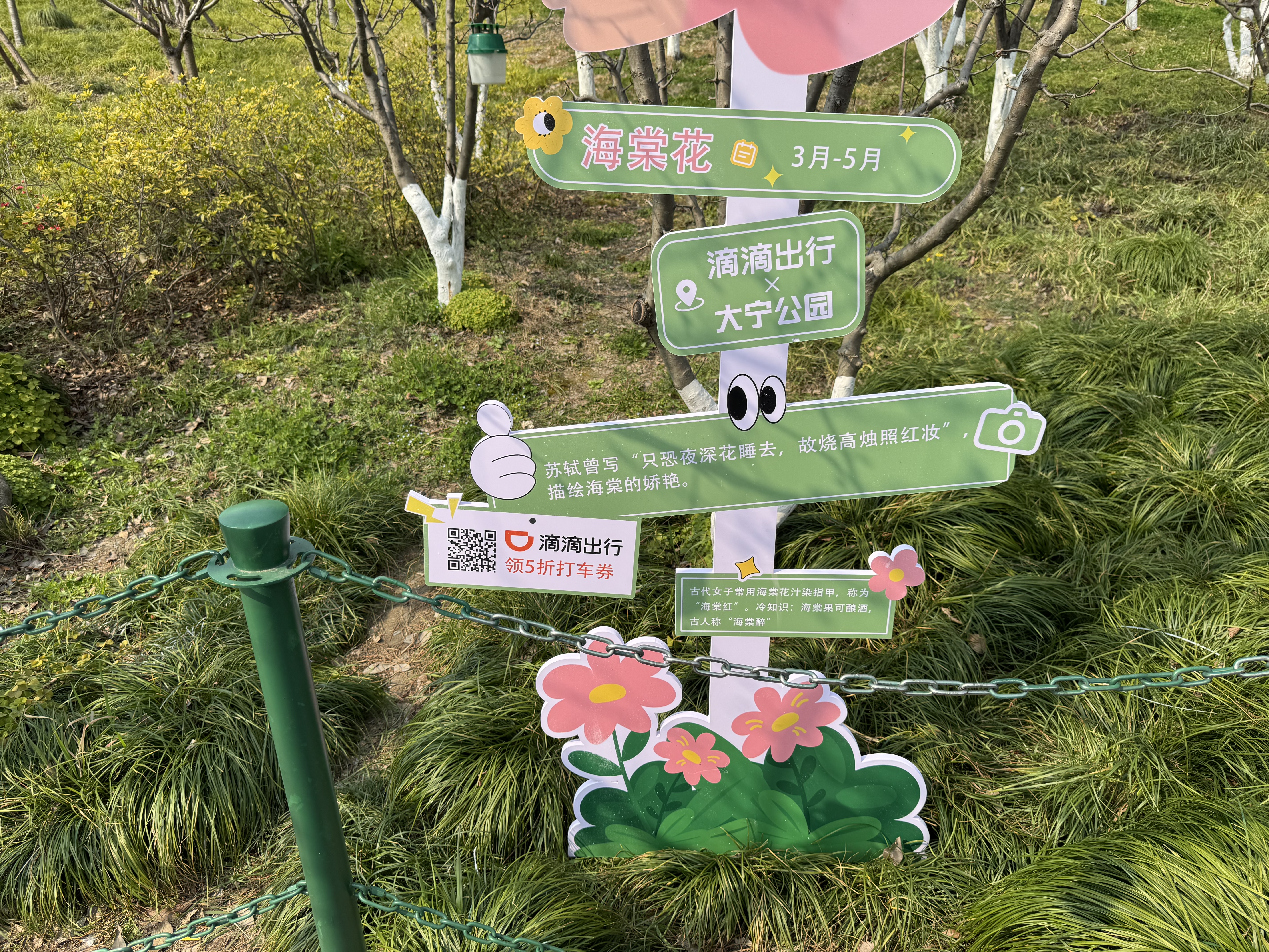 只恐深夜花睡去