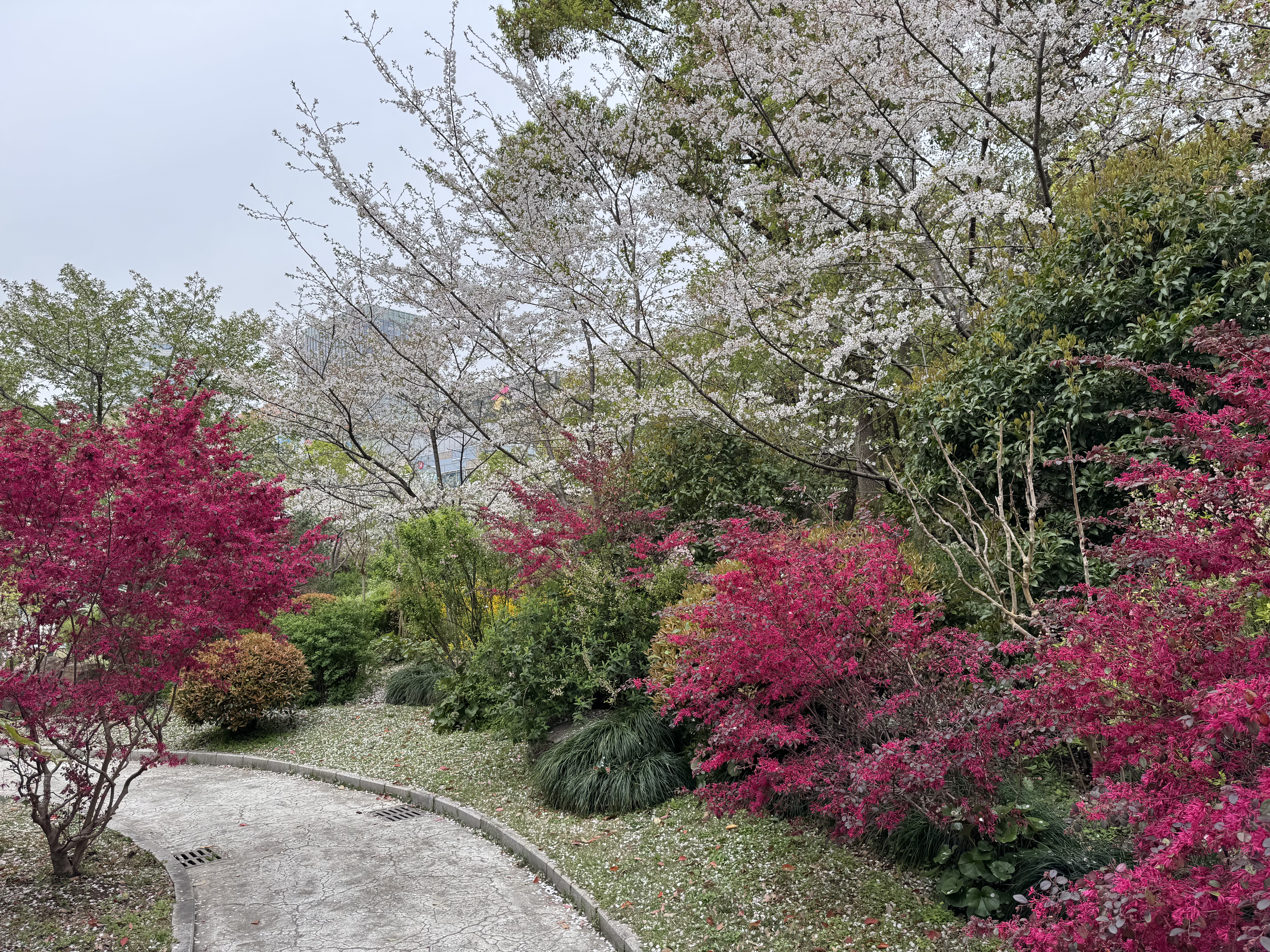 芳草鲜美